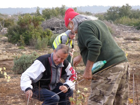 plantation 2012