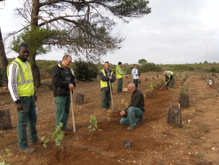 plantation 2012