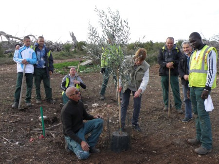 plantation 2012